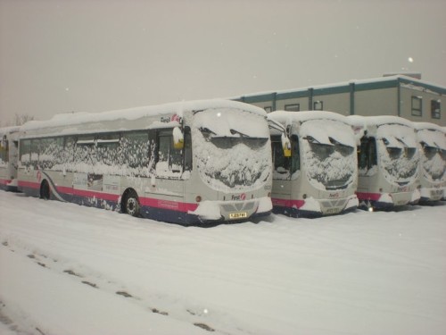 snow buses